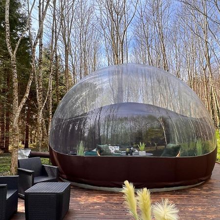 Logement Insolite "Bubble Jungle" Saint-Évarzec المظهر الخارجي الصورة