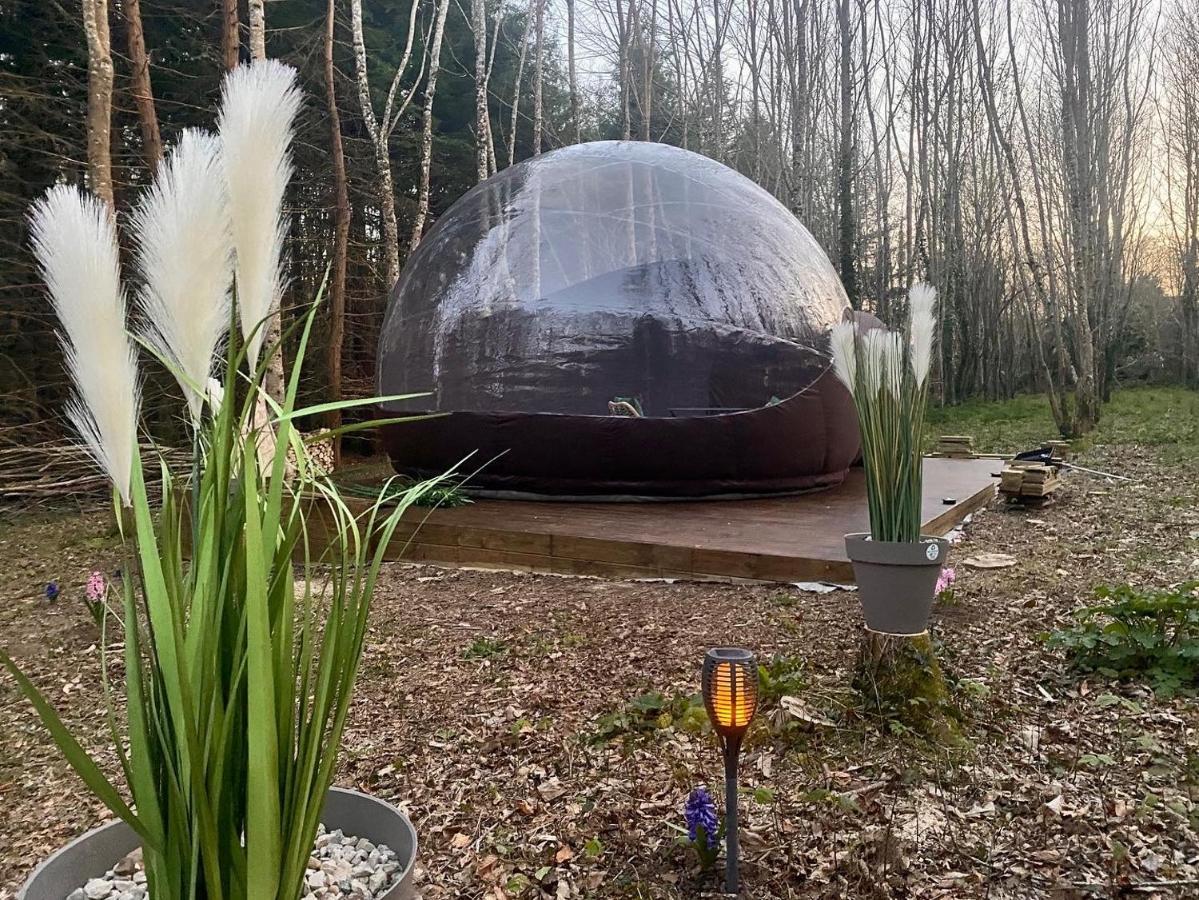Logement Insolite "Bubble Jungle" Saint-Évarzec المظهر الخارجي الصورة