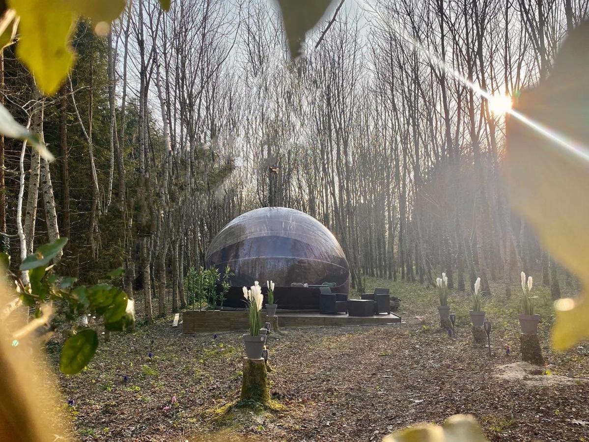 Logement Insolite "Bubble Jungle" Saint-Évarzec المظهر الخارجي الصورة