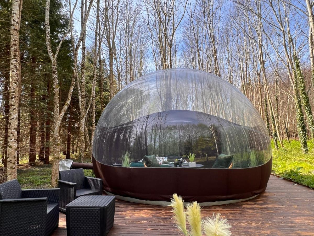 Logement Insolite "Bubble Jungle" Saint-Évarzec المظهر الخارجي الصورة